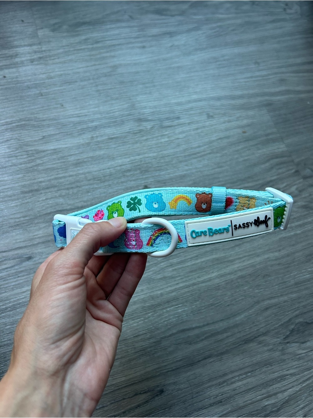 Care Bears x Sassy Woof Dog Collar